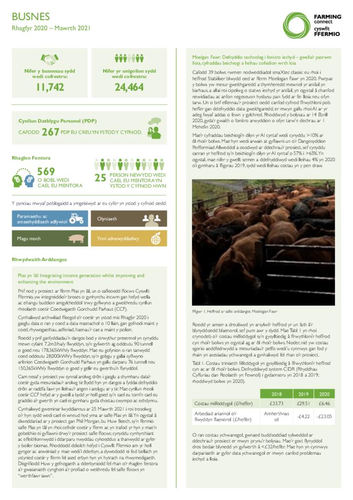 Busnes: Rhagfyr 2020 - Mawrth 2021