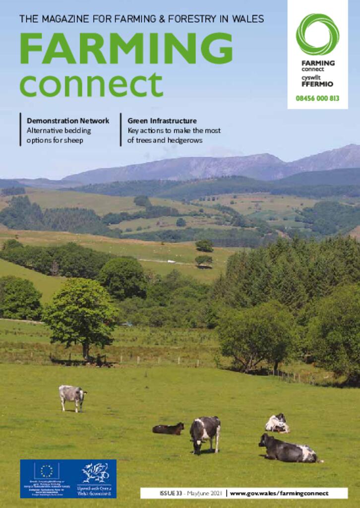 Technical Publication - Issue 33