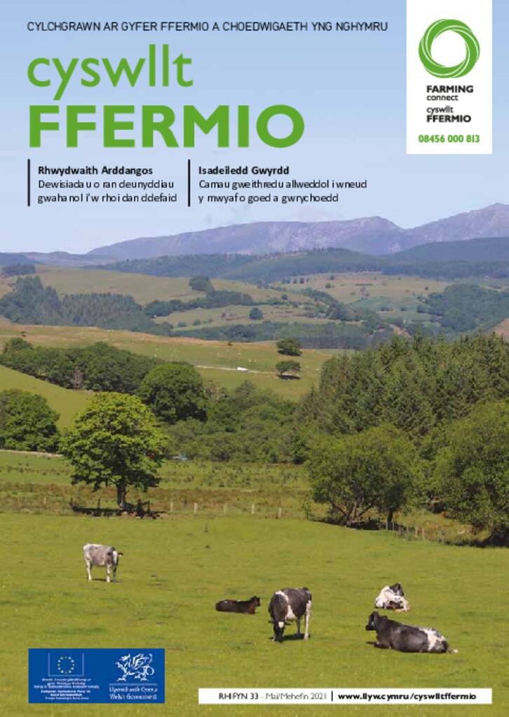 Cyhoeddiad Technegol - Rhifyn 33