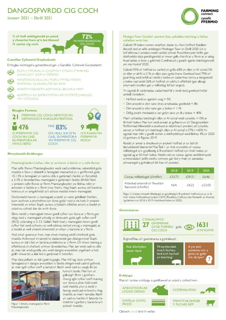 Cig Coch: Ionawr 2021 – Ebrill 2021