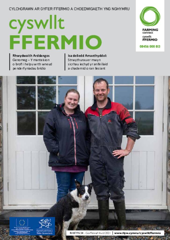 Cyhoeddiad Technegol - Rhifyn 34