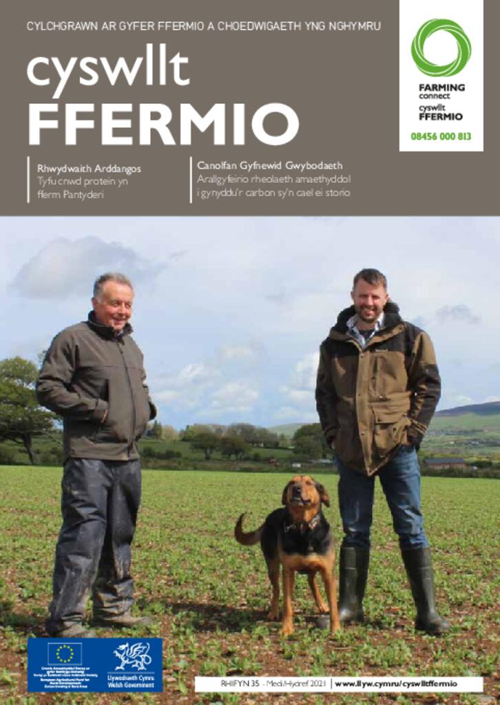 Cyhoeddiad Technegol - Rhifyn 35