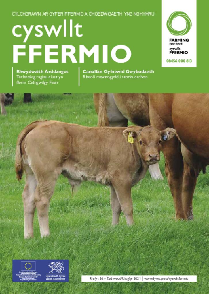 Cyhoeddiad Technegol - Rhifyn 36