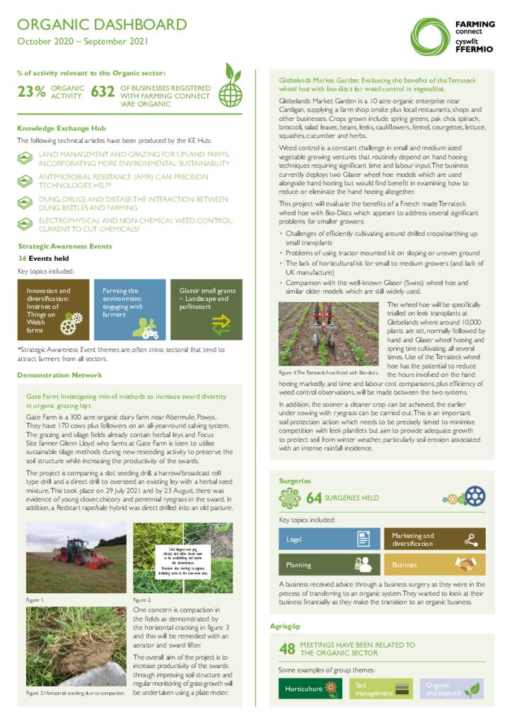 Dashboard - Organic Oct 2021