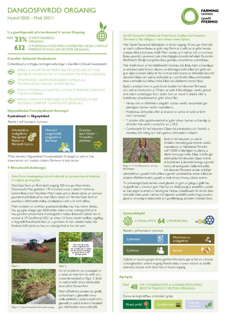 Dangosfwrdd - Organig Hydref 2021