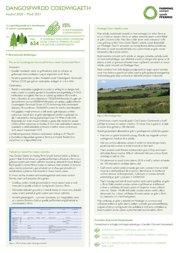 Dangosfwrdd - Coedwigaeth Hydref 2021