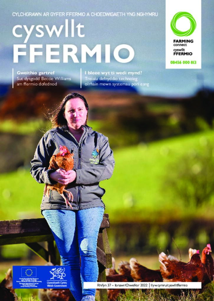 Cyhoeddiad Technegol - Rhifyn 37