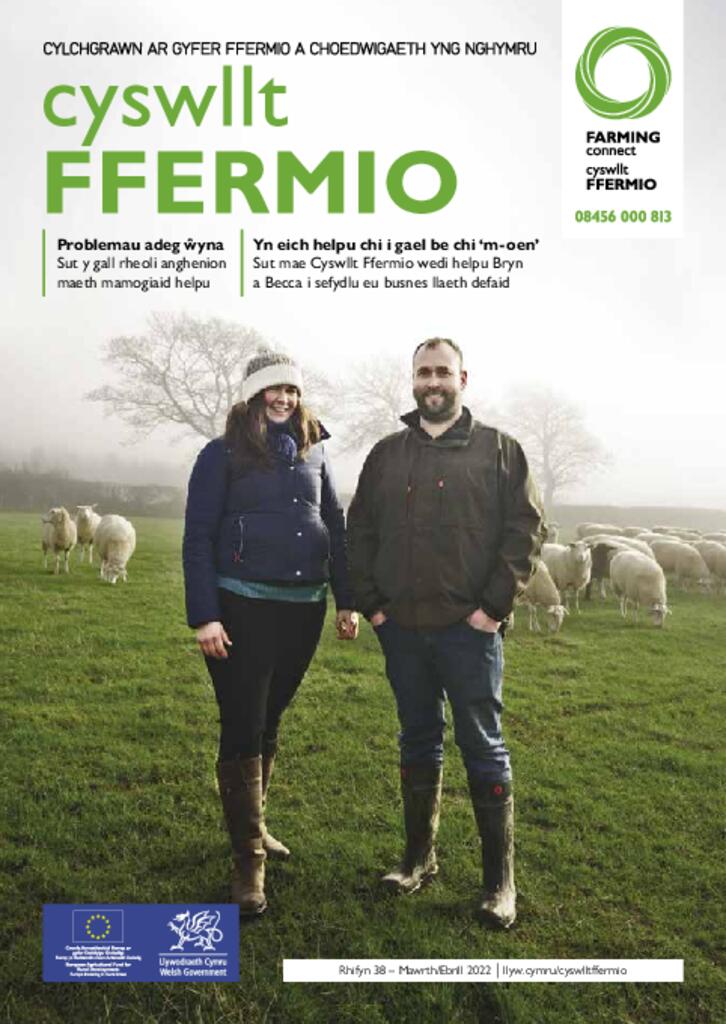 Cyhoeddiad Technegol - Rhifyn 38