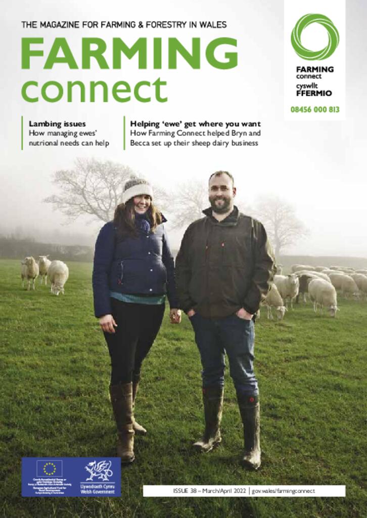 Technical Publication - Issue 38