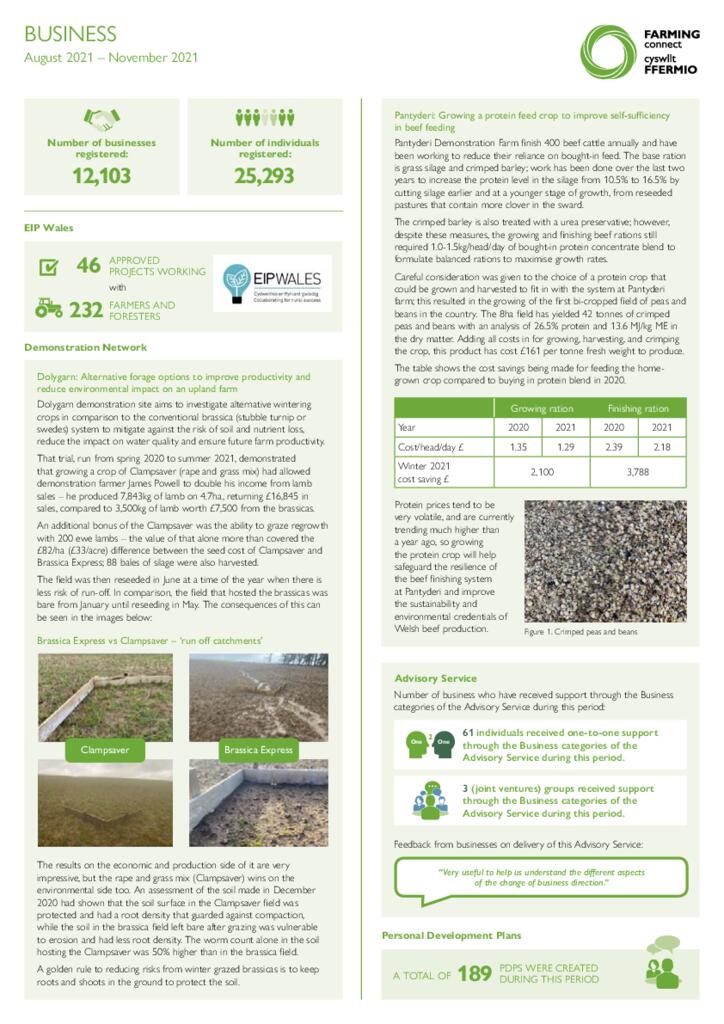 Business: August 2021 - November 2021