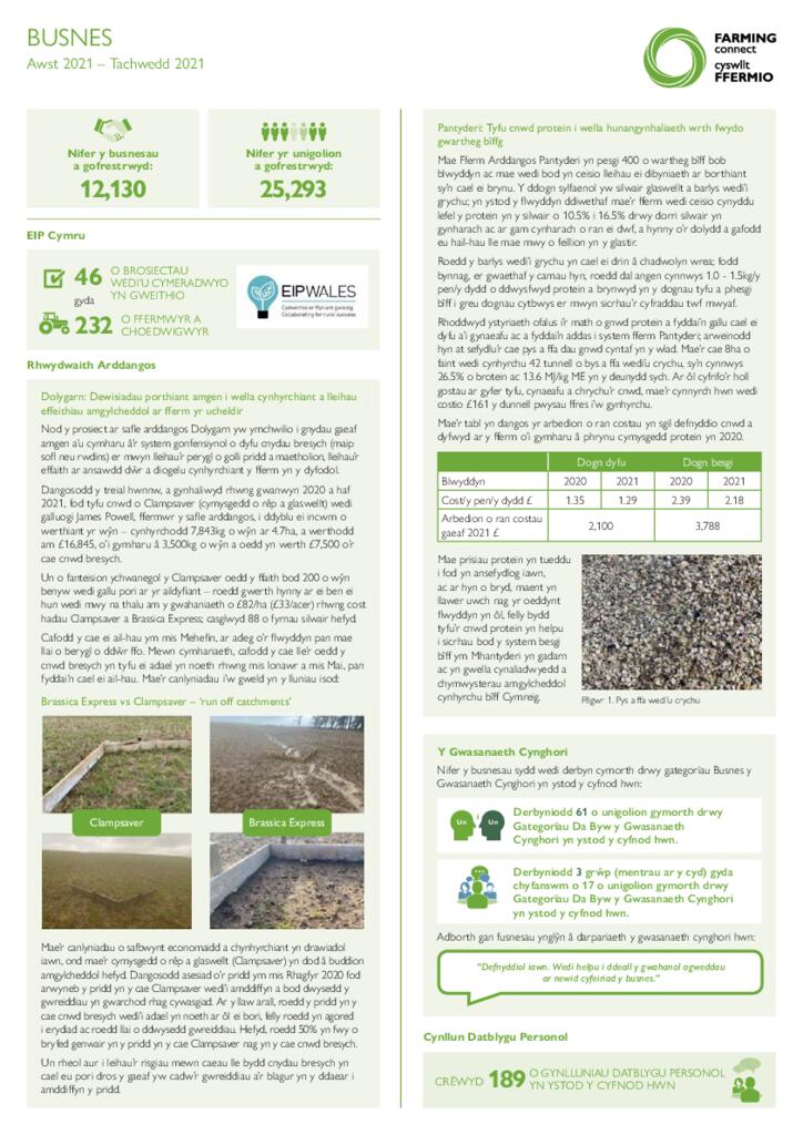 Business: August 2021 - November 2021