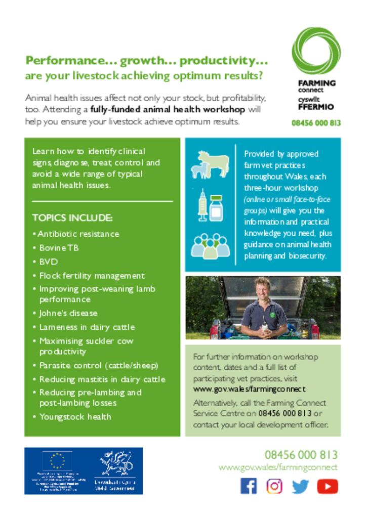 Iechyd Anifeiliaid / Animal Health