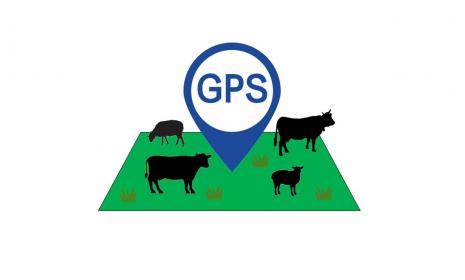 GPS