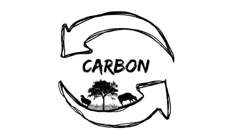 carbon
