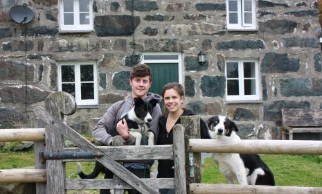 Hafod y Llyn Isaf image