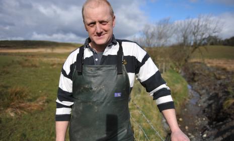 Cae Haidd Ucha image