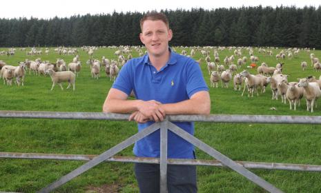 Hendre Ifan Goch image