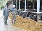 Genomic testing unlocks the full potential of Welsh crossbred herd