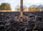 Building Soil Carbon