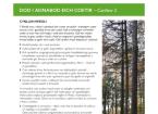 Dod I Adnabod Eich Coetir – Canllaw 2