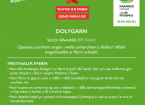 Dolygarn