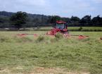 silage