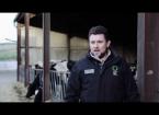 Marian Mawr - Genomic testing of heifers - 22/03/19