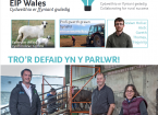 llyfryn Gwanwyn EIP