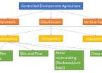 Incorporating Controlled Environment Agriculture into your existing business model
