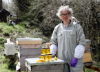 beekeeping