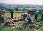 Dry stone Walling