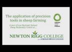 The application of precision tools in sheep farming - 19/08/2019