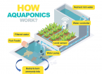 Aquaponics