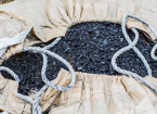 biochar