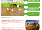Carbon and nitrogen cycles in agriculture