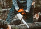 Severing Uprooted or Windblown Trees using a Chainsaw