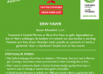 Erw Fawr