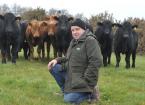 gwyn parry with cattle 2 1