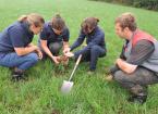 jamie mccoy elizabeth stockdale ellie sweetman and andrew rees assessing root structure 1