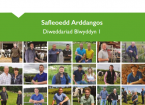 Safleoedd Arddangos - Diweddariad Blwyddyn 1
