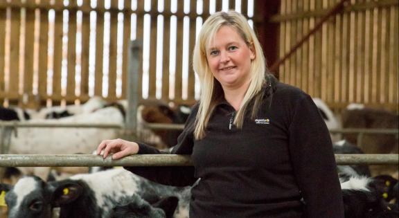 Start to Farm: Work placement at : Woodcroft, Bangor Is-coed, Wrecsam 