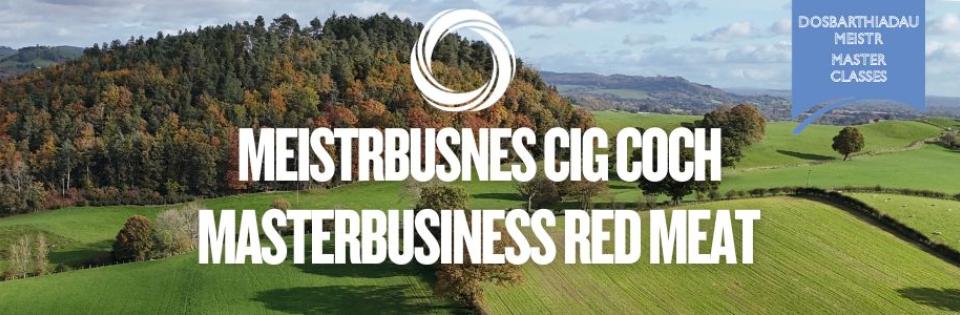 MasterBusiness Red Meat