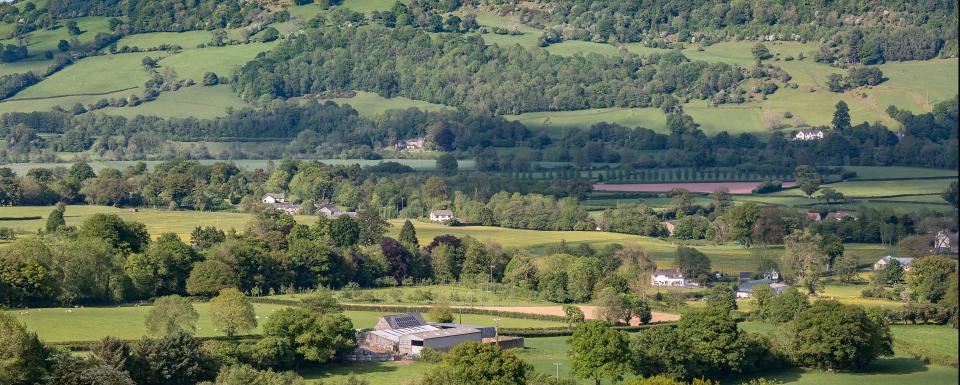 Farms in a valley