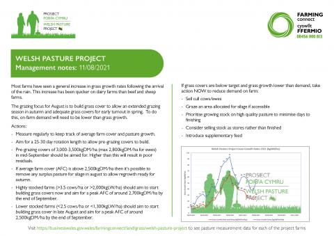 Management notes 11/08/21