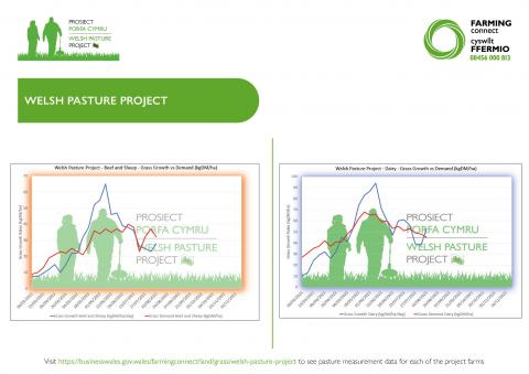 Grass growth vs demand
