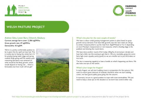 Management notes August 2021 - 3