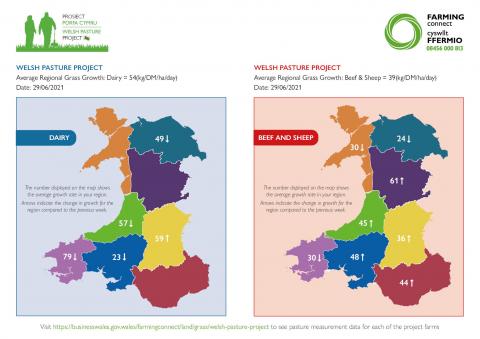 Average Regional Grass Growth 29/06/2021