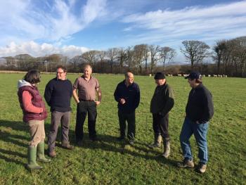 Managing dairy ewes to produce a better outcome for cheese production