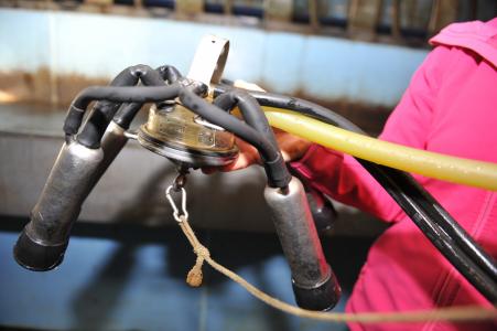 Night Milk Assessing the reliability and economic benefit