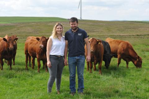 Sian and Llion Jones with cattle 1